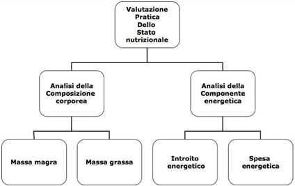 Nutrizione personalizzata: equilibrio e benessere corporeo
