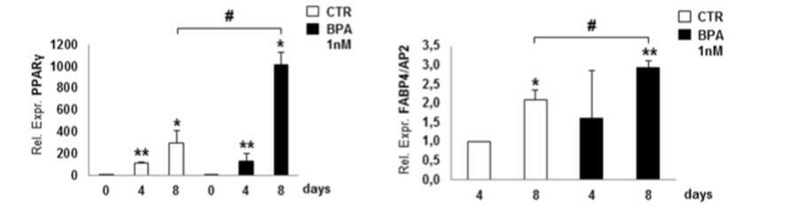Interferenti endocrini : BPA e obesit&agrave; - Sifa Formazione