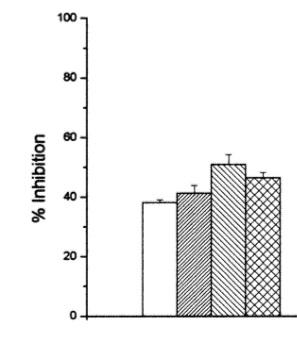 Alga spirulina: un superfood antiossidante - Sifa Formazione