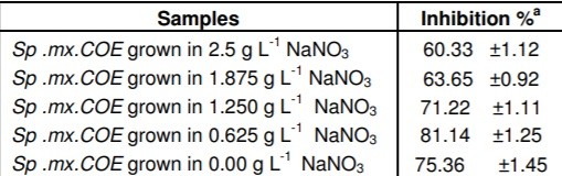 Alga spirulina: un superfood antiossidante - Sifa Formazione