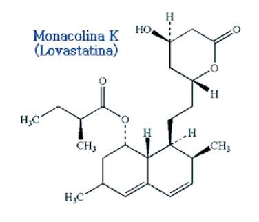 Statine e monacolina K a confronto - Sifa Formazione