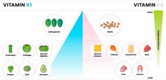 Vitamina K: non solo coagulante - Sifa Formazione