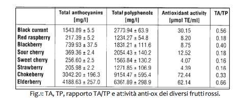 Red fruits: il ruolo delle antocianine - Sifa Formazione