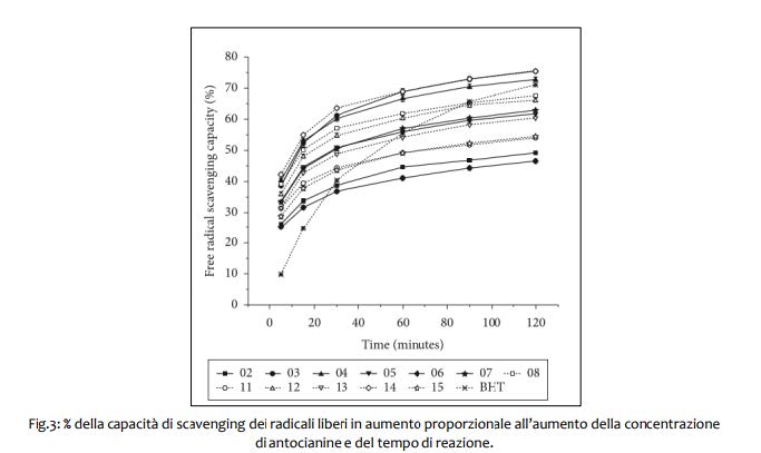 Red fruits: il ruolo delle antocianine - Sifa Formazione