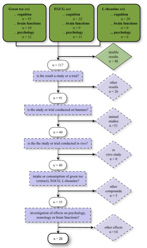 T&egrave; verde: una fonte di polifenoli - Sifa Formazione