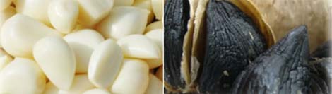 Le mille propriet&agrave; dell'aglio nero - Sifa Formazione