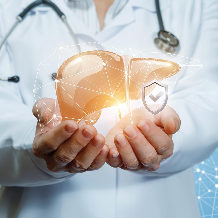 Basi scientifiche e protocolli applicativi della vera detossificazione epatica