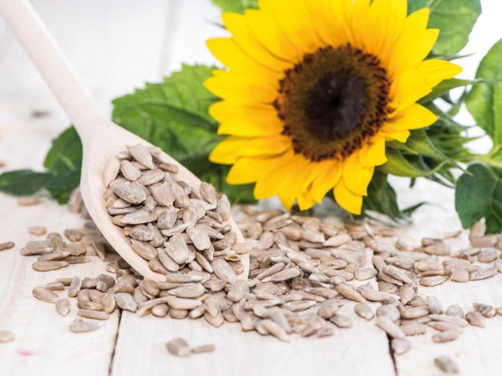 La grandezza dei piccoli semi di girasole