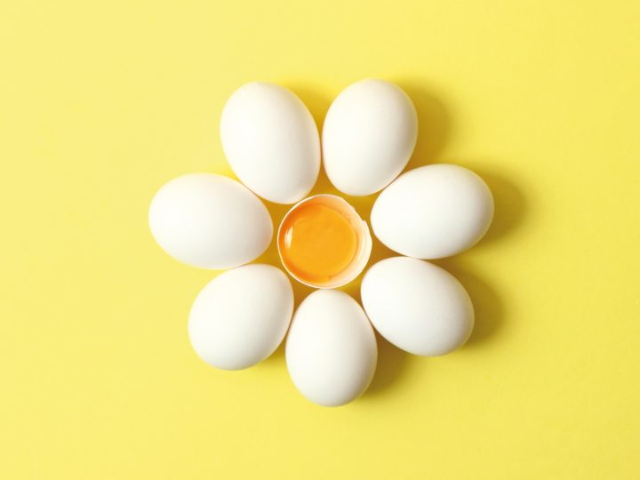 Uova tutti i giorni!