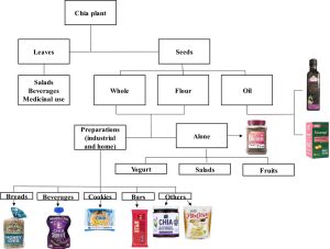 Semi di Chia Salute: Propriet&agrave; Nutrizionali e Benefici