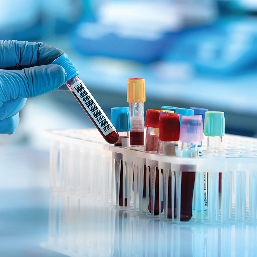 Le alterazioni biochimiche cliniche indotte da squilibri alimentari