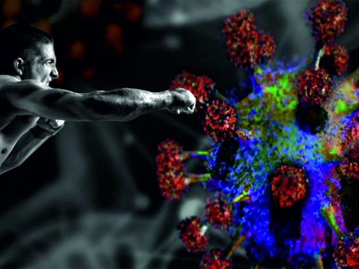 Allenamento e difese immunitarie