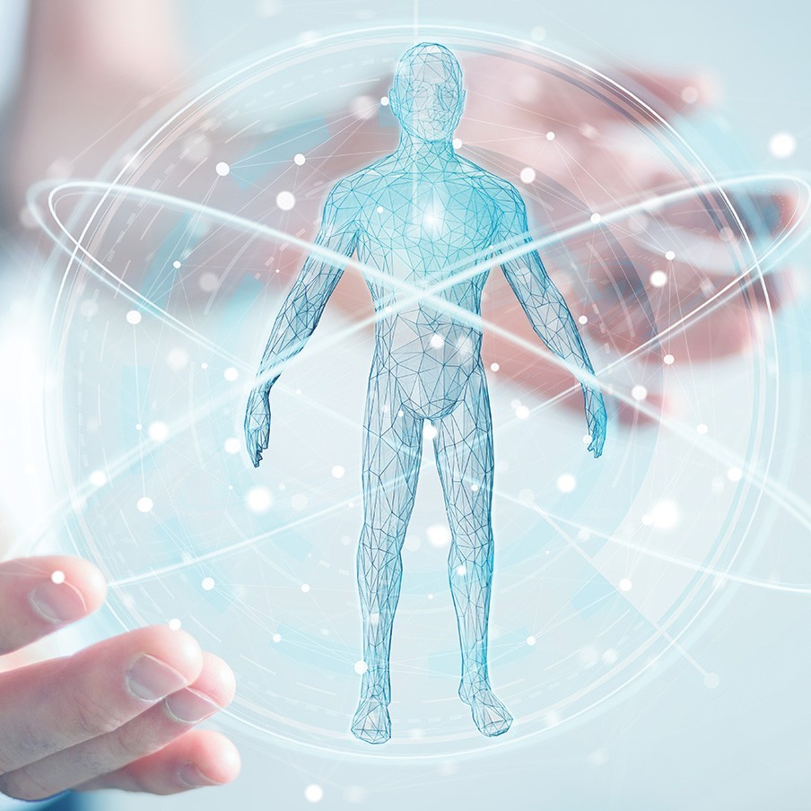 PrincipiAnatomia-904x904px