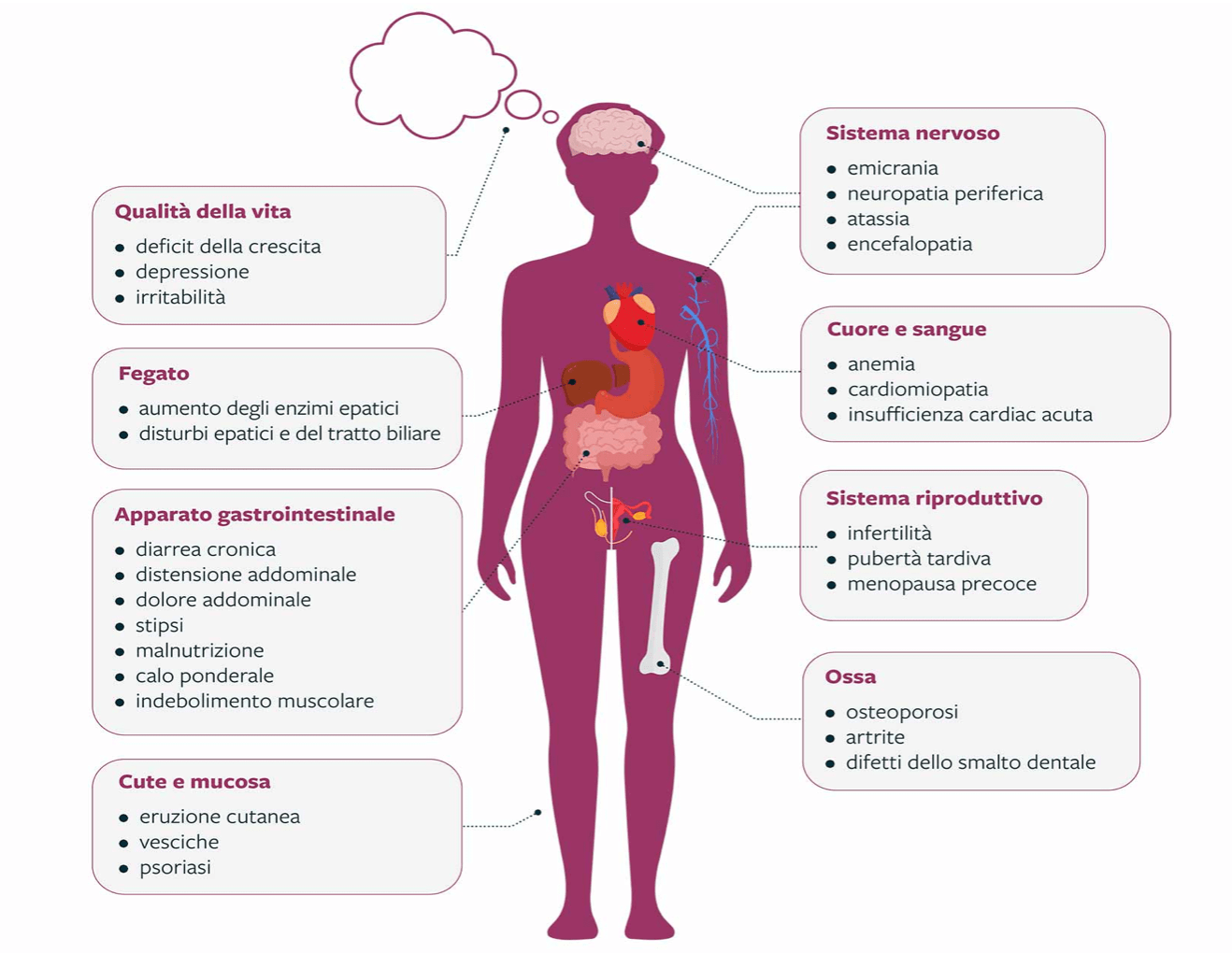 CELIACHIA: CHE COS&rsquo;E&rsquo;? SINTOMI, CAUSE E CURA - Sifa Formazione