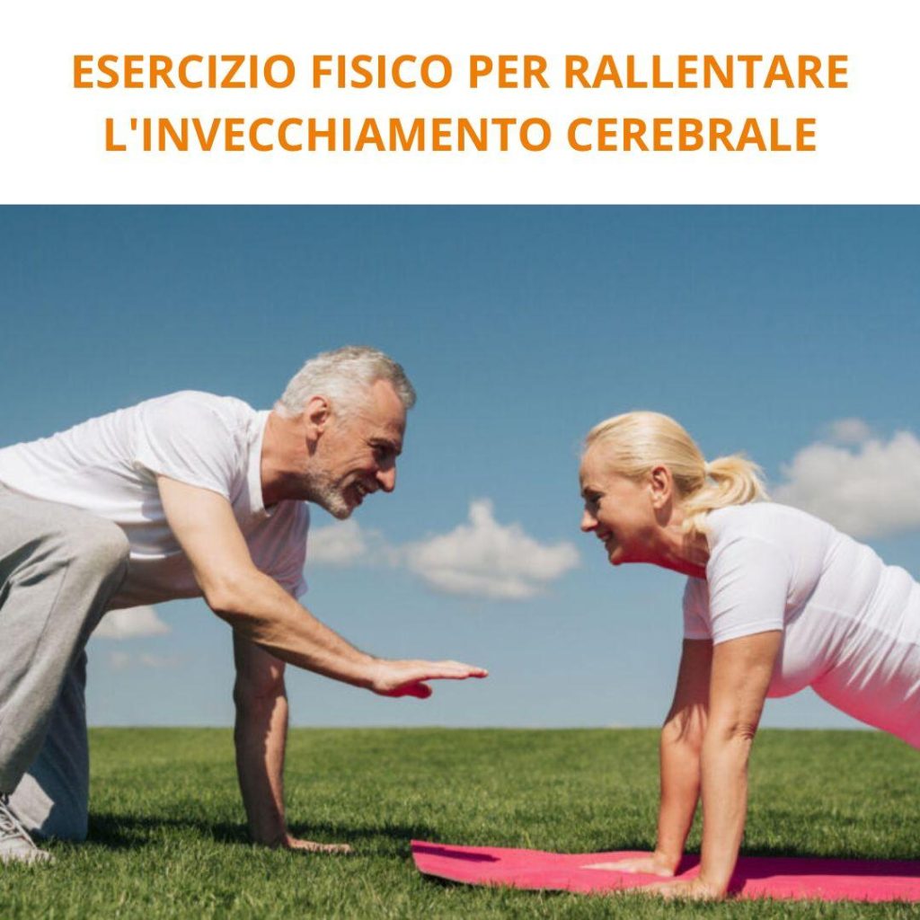 I migliori corsi di formazione fitness su Sifa Formazione