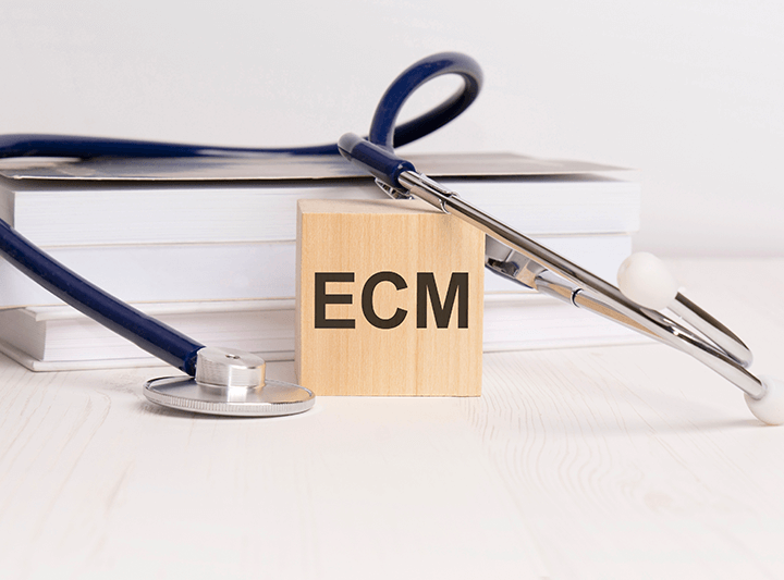 L’Importanza dei Crediti ECM per i Professionisti Sanitari: Nutrizione, Fitness e Oltre