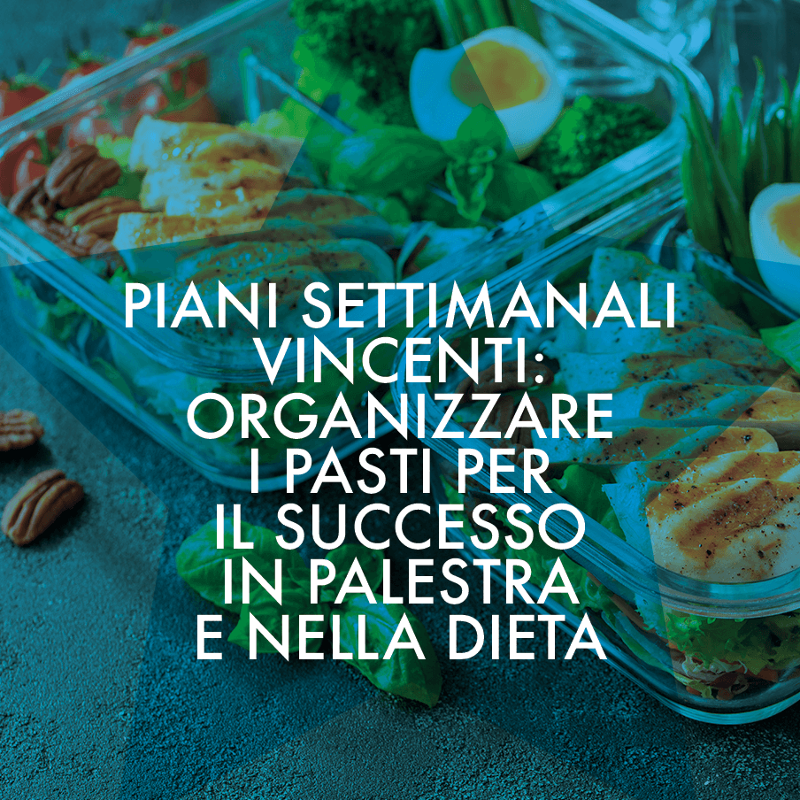 WebinarPlus-Piani-settimanali-vincenti-organizzare-i-pasti-per-il-successo-in-palestra-e-nella-dieta--Alessandra-Melargo-del-22-01-25904x904px