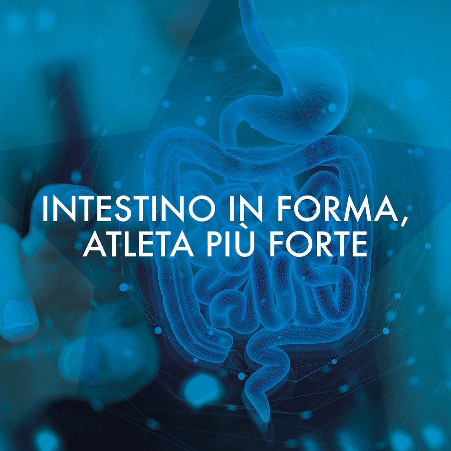 WebinarPlus-Intestino-in-forma,-atleta-più-forte---Nicola-Frisoni--del-25-06-2025-904x904px